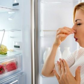Bật mí 10 cơ hội khử hương thơm hôi tủ lạnh lẽo giản dị và đơn giản, hiệu quả 